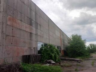 продаж приміщення вільного призначення, будівлі Черкаси, Ірдинь, 16660