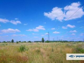 продаж ділянка комерційного призначення Фастівський, Тарасівка, 333400