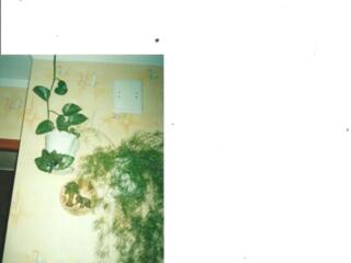  мини гриль - шашлычница 