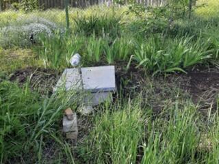 В продаже дачный участок общей площадью 5 соток. Участок находится в .