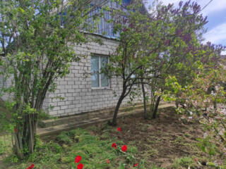 Продам дом в с.Труд-Куток (Одесская обл., Раздельнянский р-н, ...