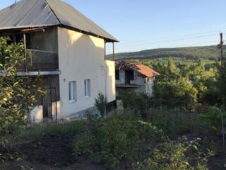 Дачный участок с домом в Ульме (Яловенский район)