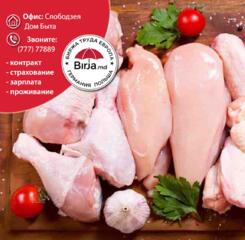 Рабочие места на курином заводе в Польше, 1200 евро чистыми.