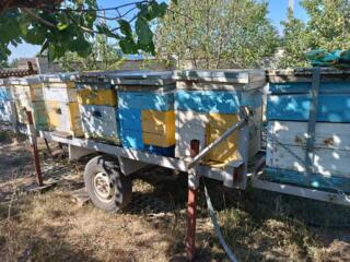 Продам прицеп для перевозки пчёл