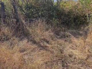 Продается земельный участок с незавершенным строительством, Тирасполь