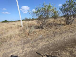 Продается земельный участок, расположенный в селе Санжейка, идеально .