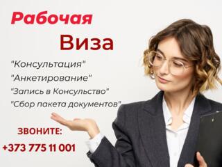 Рабочие шенген визы для Граждан Молдовы и Украины!