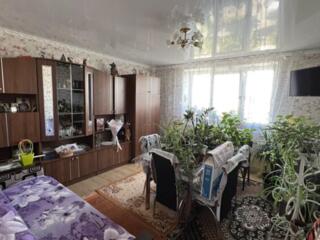 Центр, чешка