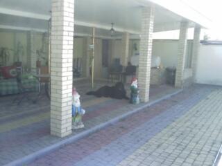 Продам дом 245м2   на 10ти сотках в Сухом Лимане