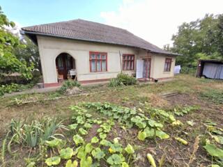 Дом Бельц пер. Сорокский