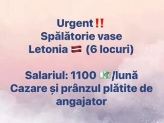 Посудомойщица в Латвию