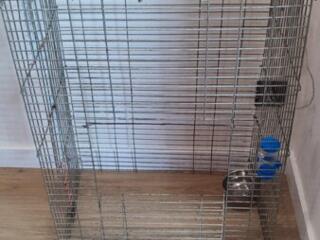 Большая клетка