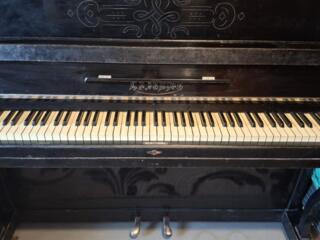 Пианино Беларусь