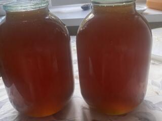 Продам мед сбора 2025 года