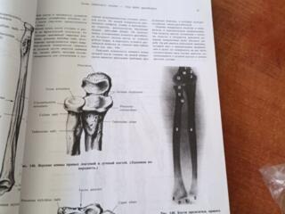 Продам учебники и методички по анатомии