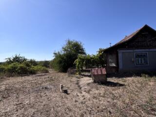 Дом Кицканы, участок, торг