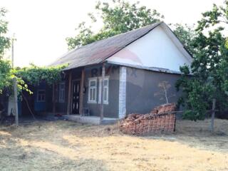 Spre vânzare casă bătrânească cu 15 Ari , situată în satul Țintăreni, 