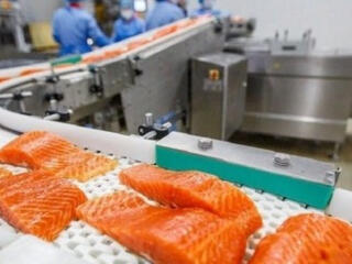 Завод по переработке красной рыбы набирает сотрудников!