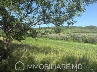 Teren agricol, com. Grătiești (extravilan) Vă propunem spre vânzare ..