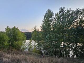 Продается садовый домик в дачном кооперативе у Днестра