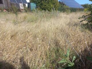 Предлагается к продаже земельный участок в шикарном районе - на Новом 