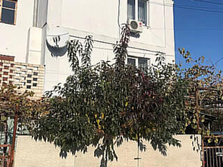 Дом в кооперативе " Заря"