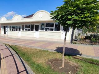 Нежилое помещение в Екатерининском парке