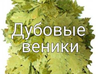 Продаются веники дубовые для бани (парилки).