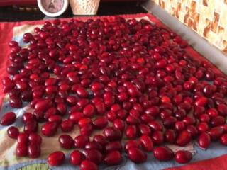 Продам кизил по 30 рублей для вкусного компота