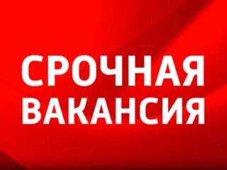 Стабильный доход (оклад + премии) и карьерный путь в логистике