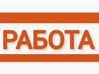 Менеджер (официально, с обучением). Высокая ЗП + %