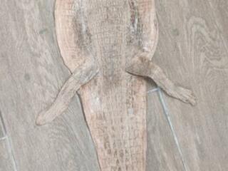 Кожа крокодила