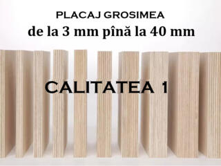 Placaj de calitate superioara, фанера, fanera