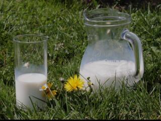 Натуральное козье молоко без запаха 20 руб литр. 077729190.