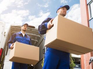 Аккуратная Бригада