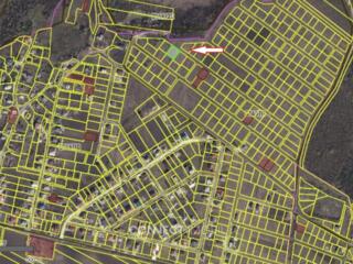 Str. Tricolorului, Cheltuitori, Chisinau