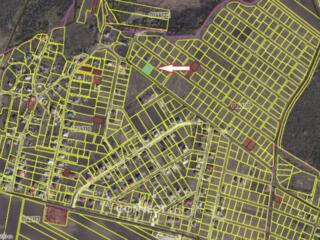 Str. Sfinta Treime, Cheltuitori, Chisinau