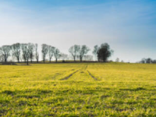 4 "сотки" земли в Червоном хуторе