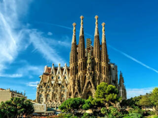 Молдово - испанская фирма предлагает сотрудничество в сфере бизнеса.