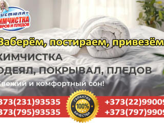 Профессиональная специализированная химчистка ковров ЧИСТЮЛЯ