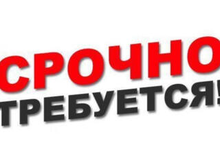 СРОЧНО! Требуются мужчины для работы в Германии, по молд. паспортам.