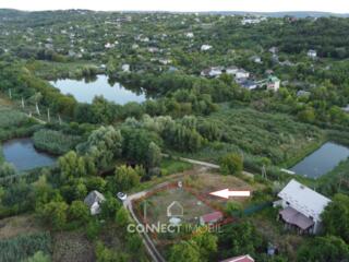 Dumbrava noua, Chisinau, Moldova