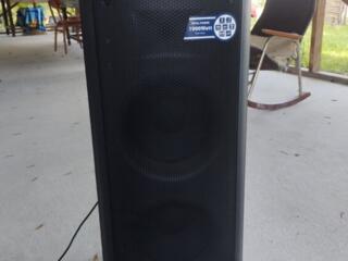 Blaupunkt PB10DB (+2 мик. беспровод. )