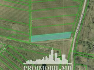 Spre vânzare se oferă teren agricol, situat în Durlești. Suprafața ...