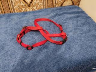 Продам для собаки, 170 руб, 077589539.