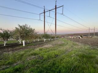 Teren agricol la 10 km de Chișinău.