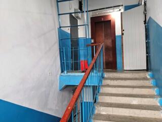 На БАМе. Рядом берёзовая роща.