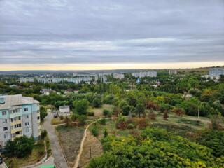 На БАМе. Рядом берёзовая роща.