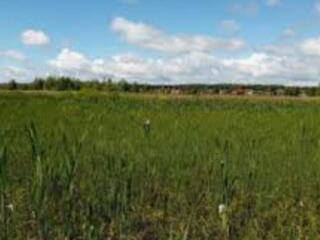 Продам участок в 30 км от Одессы. Участок правильной формы, 25 соток. 