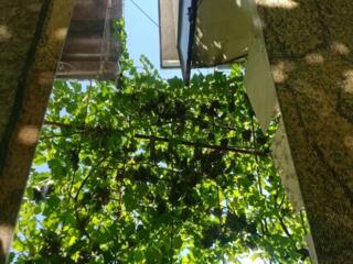 Продам стёкла/зеркала от корпусной мебели.